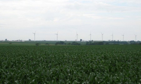 pantride4